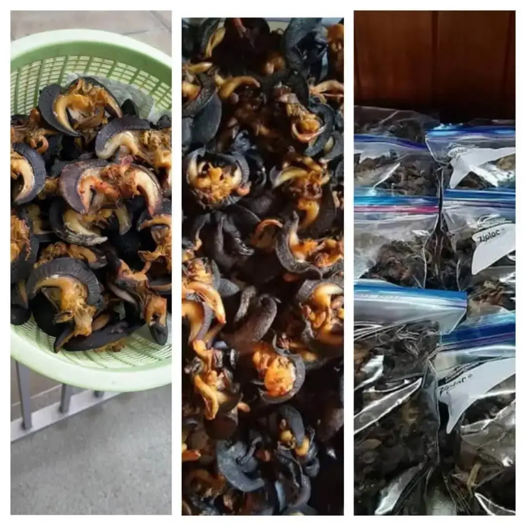 Oven Dried Snails 250g