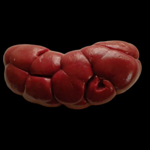 Cow Kidney 1Kg