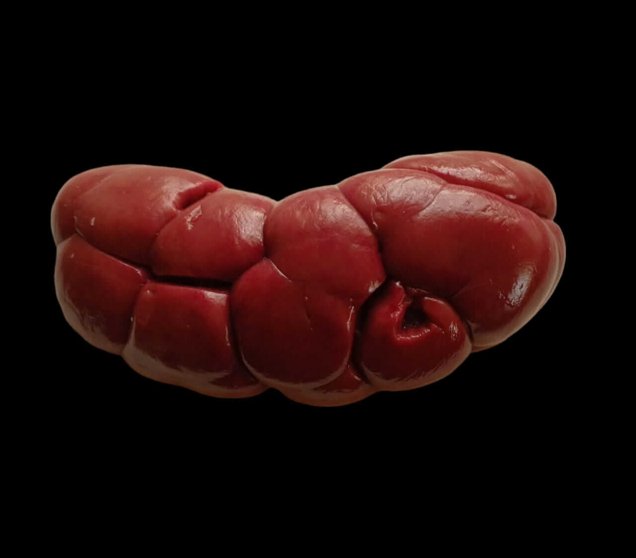 Cow Kidney 1Kg