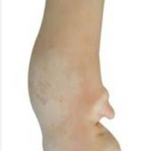 Cow Leg 1Kg
