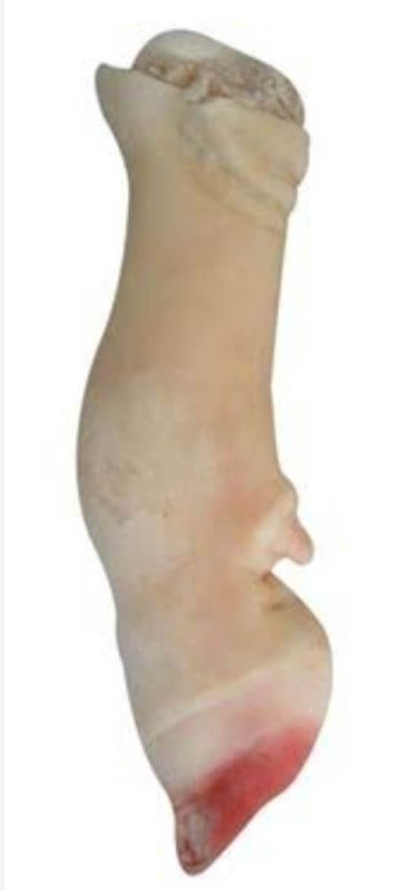 Cow Leg 1Kg