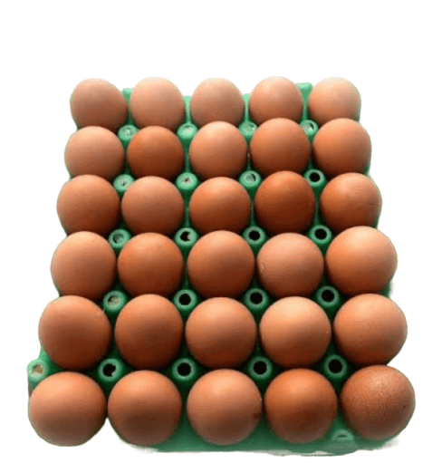 Medium Size Crate of Eggs