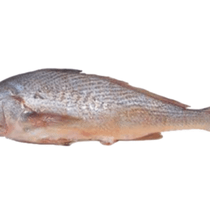 Frozen Croaker Fish 1kg