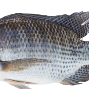 Frozen Tilapia Fish 1kg