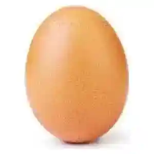 Ovo cru 50g