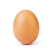 Ovo cru 50g
