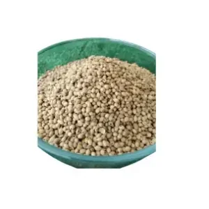 Gracehub Coriander Seeds