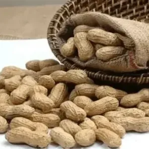 Fried Groundnuts "Soft" (Paint bucket)