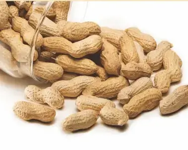 Fried Groundnuts "Dried" (Paint bucket)