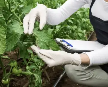 Farming Training Courses Online