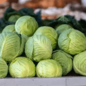 Cabbage