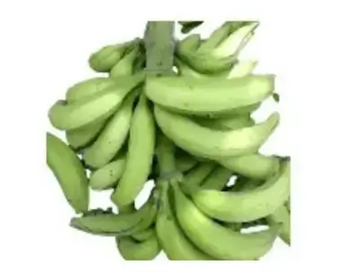 Unripe Plantain