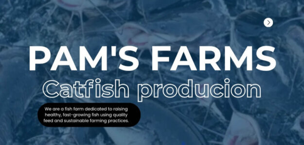 PAM'S Farms ltd